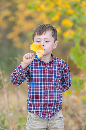 2026 Stoltze Family Session-1223