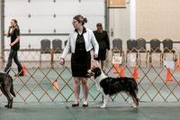 2024 4-H Dog Show SATURDAY-7252