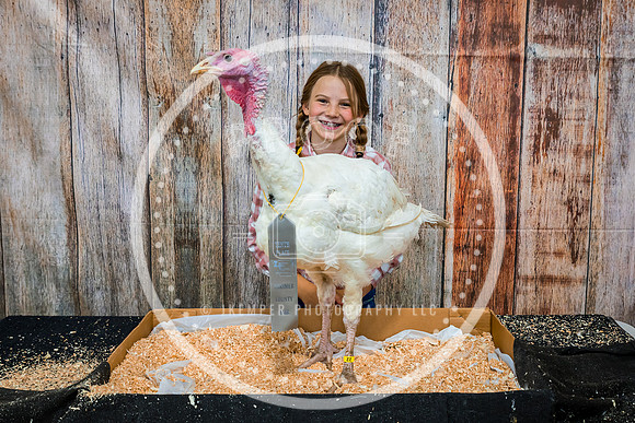 Poultry Backdrop 2023 PRINT-6530