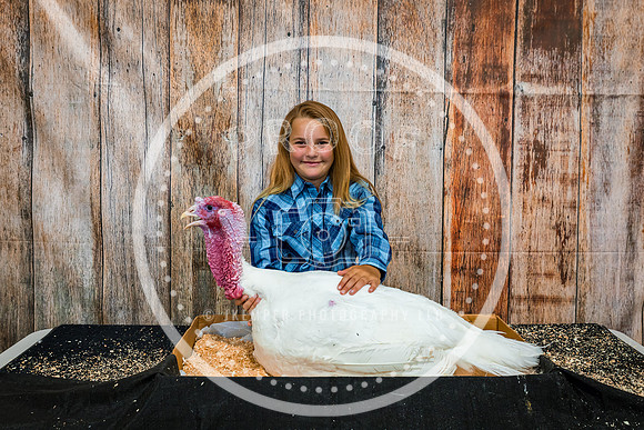 Poultry Backdrop 2023 PRINT-6508