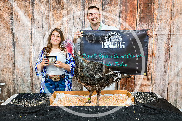 Poultry Backdrop 2023 PRINT-6458