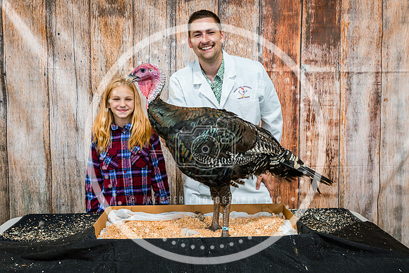 Poultry Backdrop 2023 PRINT-6468