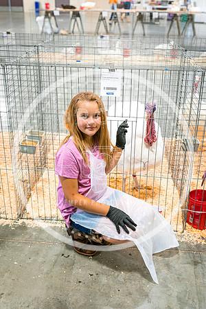 Poultry Candids 2023 PRINT-6257