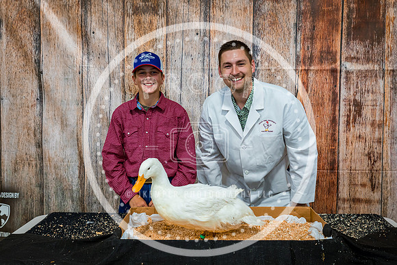Poultry Backdrop 2023 PRINT-6441