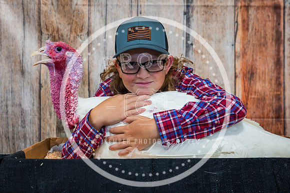 Poultry Backdrop 2023 PRINT-6523