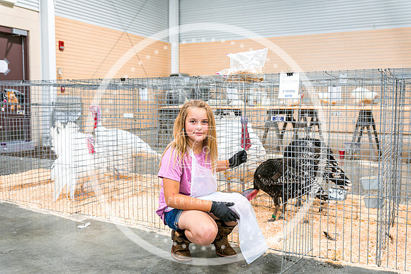 Poultry Candids 2023 PRINT-6241