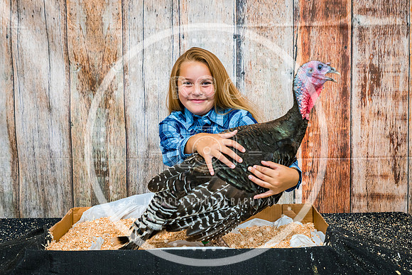 Poultry Backdrop 2023 PRINT-6544