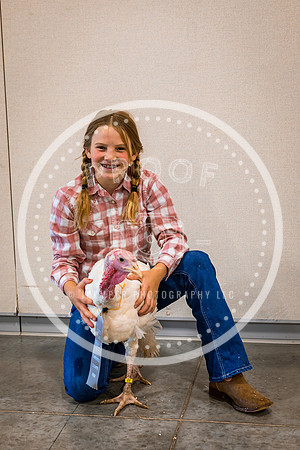 Poultry Backdrop 2023 PRINT-6503