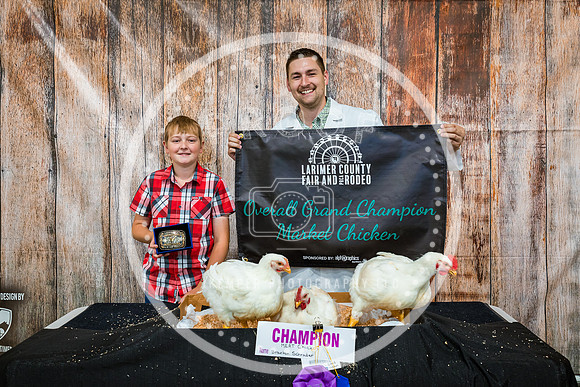 Poultry Backdrop 2023 PRINT-6389
