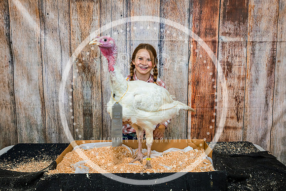 Poultry Backdrop 2023 PRINT-6527