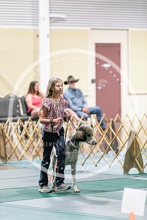2024 4-H Dog Show SATURDAY-7307