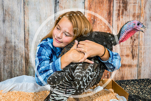 Poultry Backdrop 2023 PRINT-6548