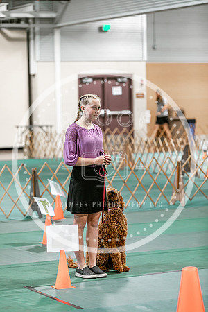 2024 4-H Dog Show SATURDAY-7284