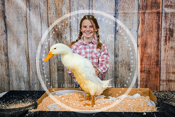 Poultry Backdrop 2023 PRINT-6535