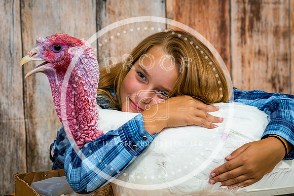 Poultry Backdrop 2023 PRINT-6516