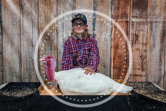 Poultry Backdrop 2023 PRINT-6520