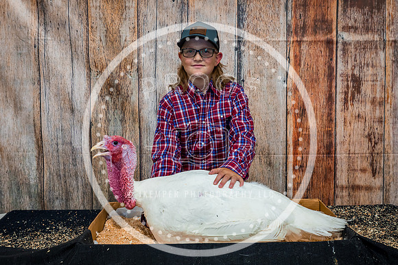 Poultry Backdrop 2023 PRINT-6519