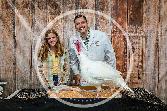 Poultry Backdrop 2023 PRINT-6481