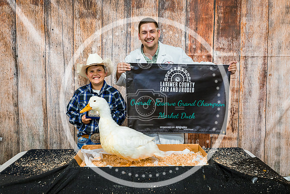 Poultry Backdrop 2023 PRINT-6499