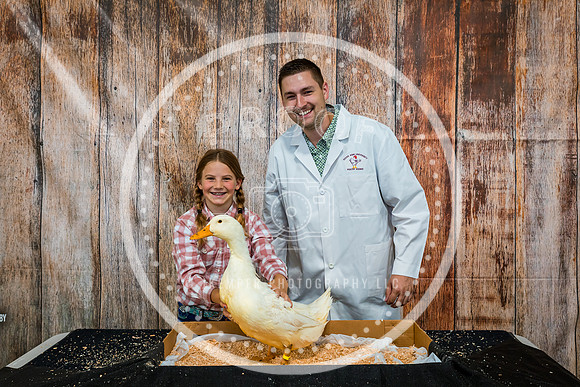 Poultry Backdrop 2023 PRINT-6405