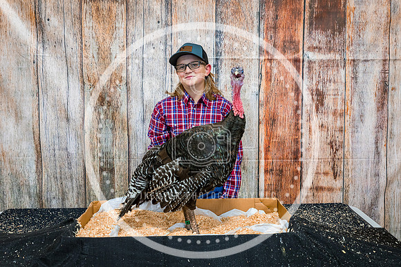Poultry Backdrop 2023 PRINT-6558