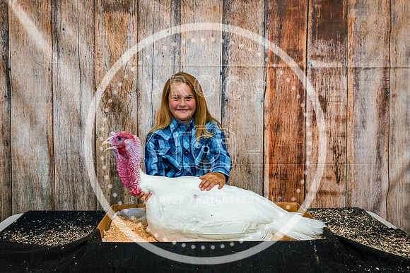 Poultry Backdrop 2023 PRINT-6509