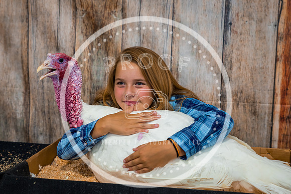 Poultry Backdrop 2023 PRINT-6514
