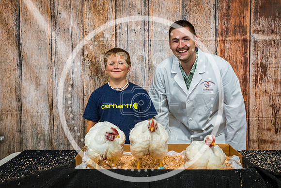 Poultry Backdrop 2023 PRINT-6431