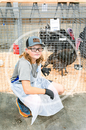 Poultry Candids 2023 PRINT-6249