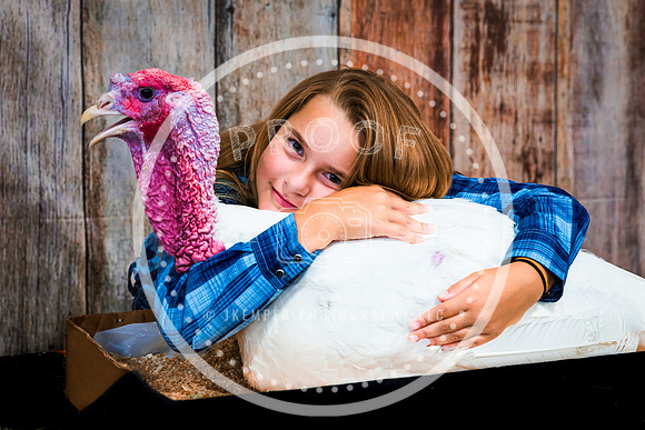 Poultry Backdrop 2023 PRINT-6515