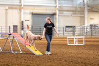 2024 4-H Dog Show AGILITY-3