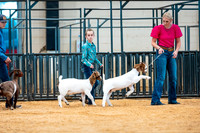 Goat Show- 2023-7832