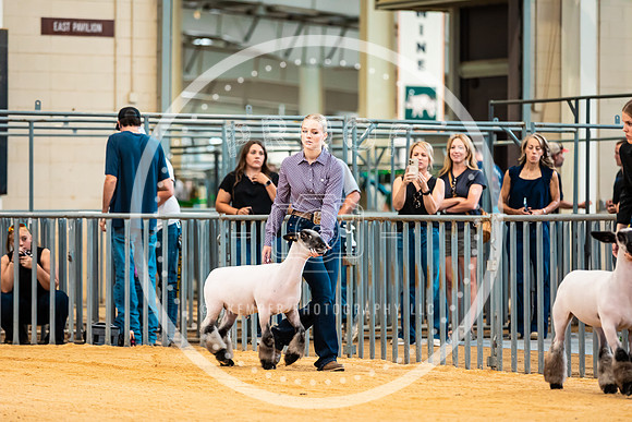 Sheep Show- 2023-8389