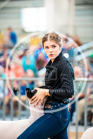 Sheep Show- 2023-8413