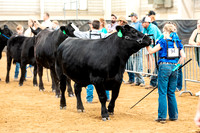 BeefShow- 2023-8819