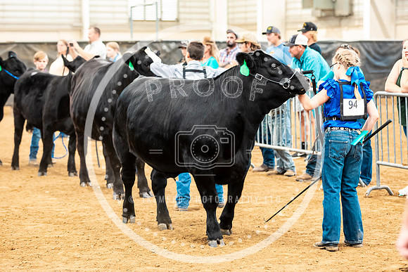 BeefShow- 2023-8819
