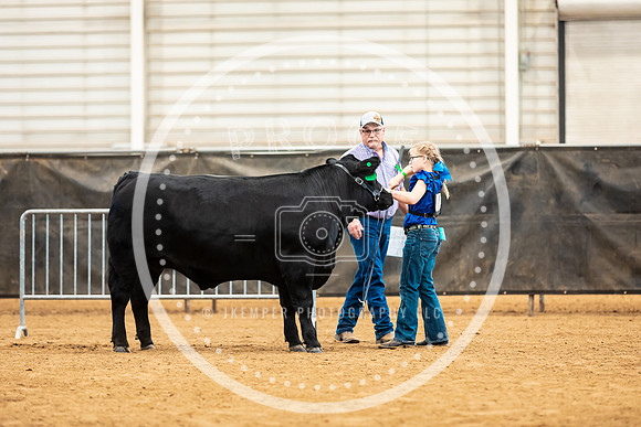 BeefShow- 2023-8825