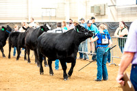 BeefShow- 2023-8820