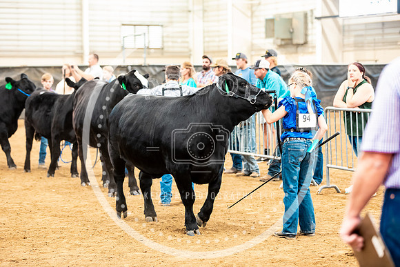 BeefShow- 2023-8820