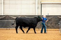 BeefShow- 2023-8826