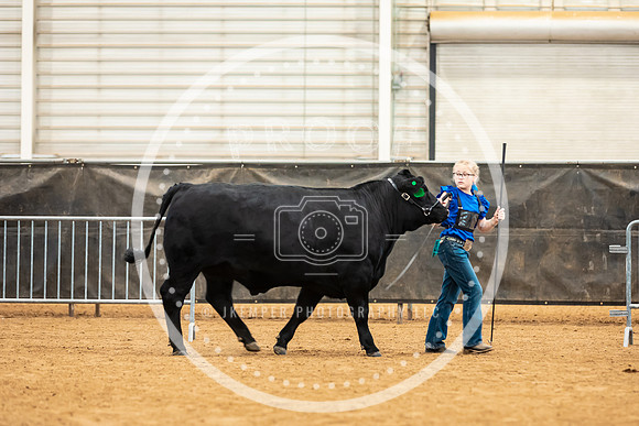 BeefShow- 2023-8826