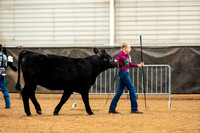 BeefShow- 2023-8828