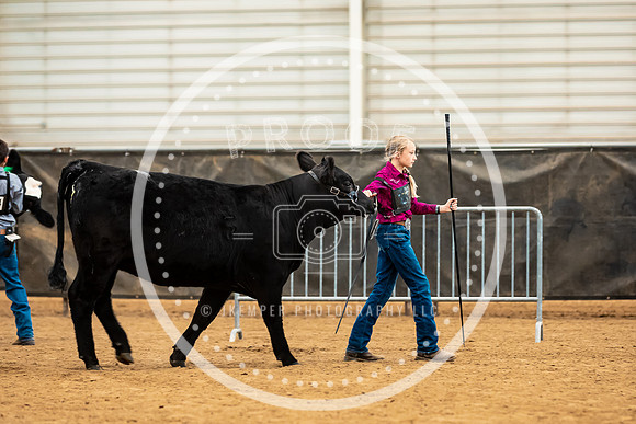 BeefShow- 2023-8828