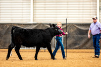 BeefShow- 2023-8829