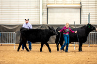 BeefShow- 2023-8830