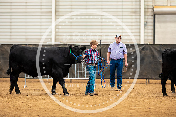 BeefShow- 2023-8831