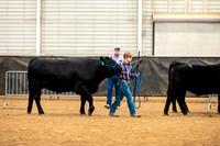 BeefShow- 2023-8832