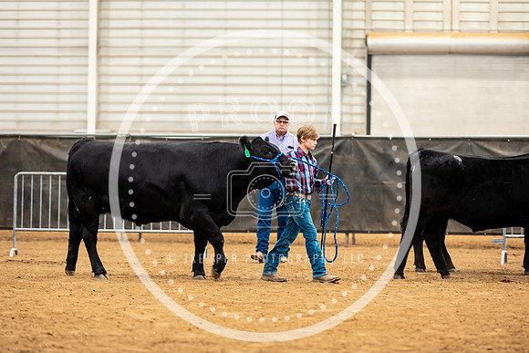 BeefShow- 2023-8832