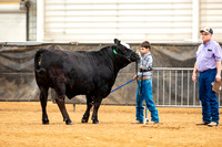 BeefShow- 2023-8834