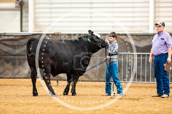 BeefShow- 2023-8834